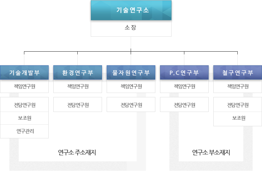 기술연구소 소장 기술개발부 책임연구원 전담연구원 보조원 연구관리  환경연구부 책임연구원 전담연구원 P.C연구부 책임연구원 전담연구원 철구연구부 책임연구원 전담연구원 보조원